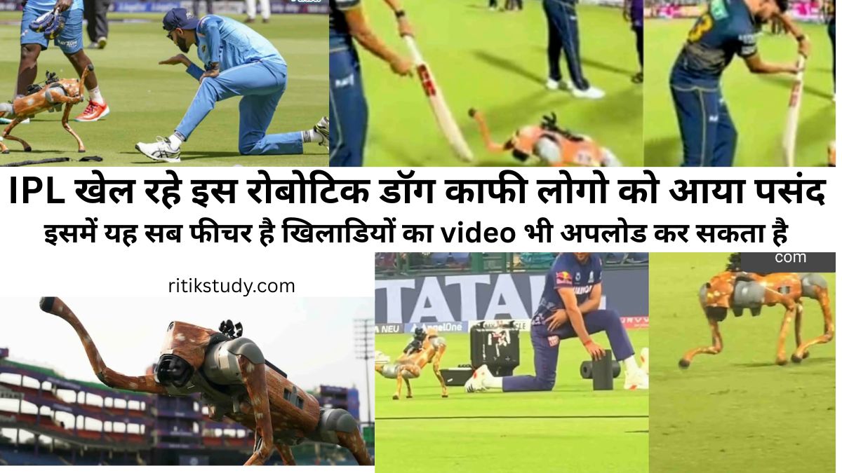 IPL Robotic Dog Name कमाल का है IPL का यह रोबोटिक डॉग क्यों सबका है दुलारा 2025 read right now