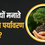 Environment day:आखिर 5 जून को क्यों मनाते है पर्यावरण दिवस read right now