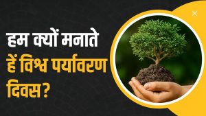 Environment day:आखिर 5 जून को क्यों मनाते है पर्यावरण दिवस read right now